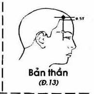 Vị trí huyệt bản thần