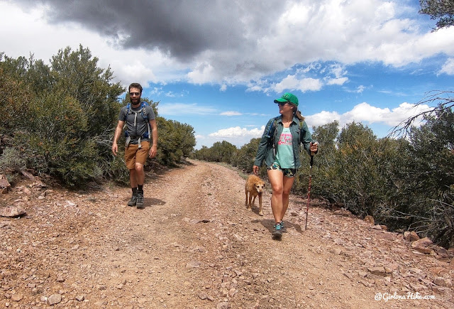 Hiking to Frisco Peak, Utah