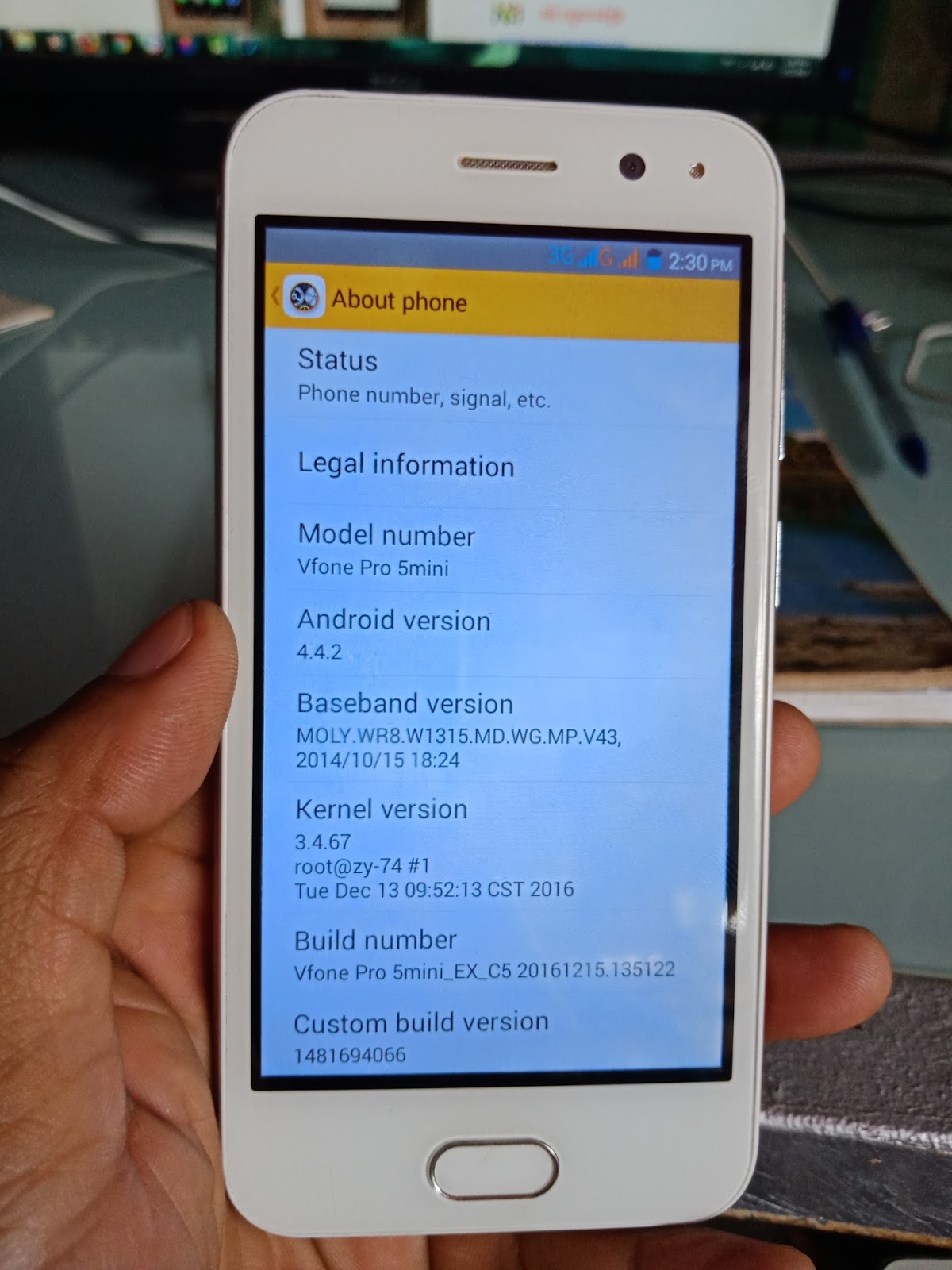 vfone a10