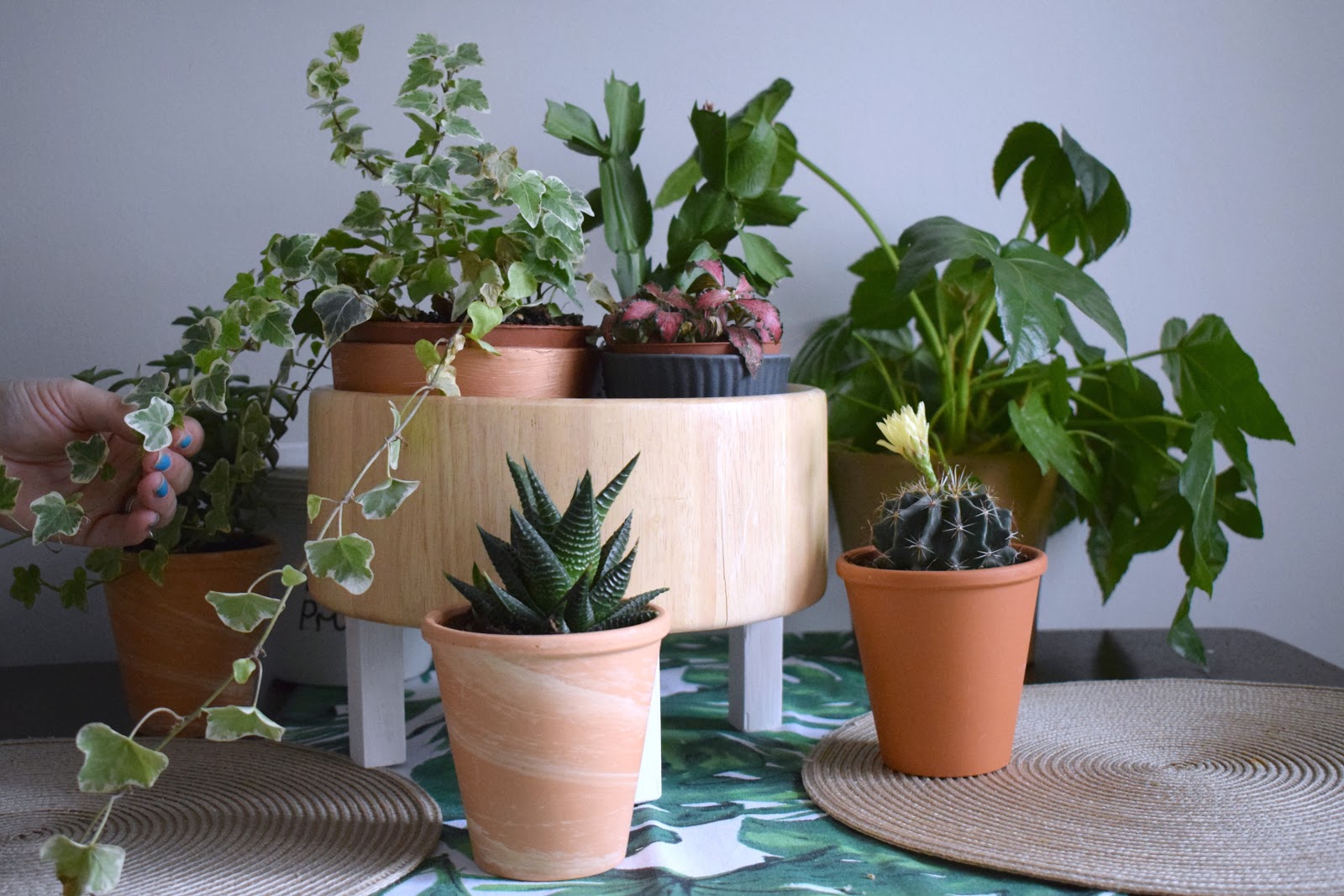 DIY How to make a simple plant pot stand