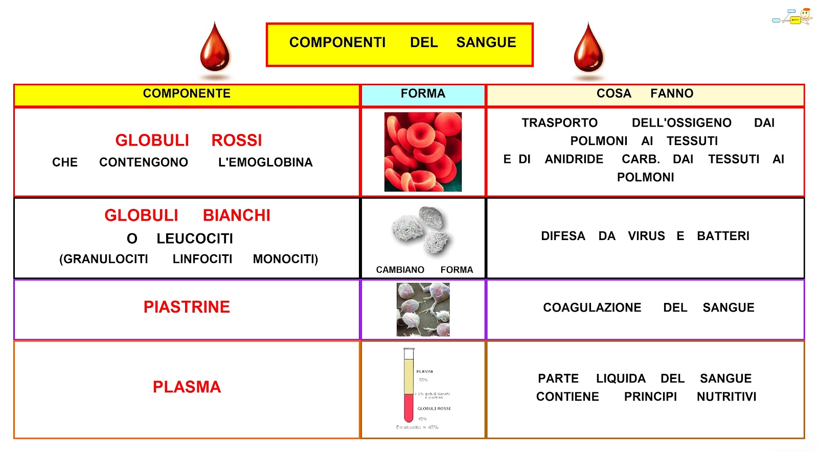 MAPPER COMPONENTI DEL SANGUE MAPPER COMPONENTI DEL SANGUE