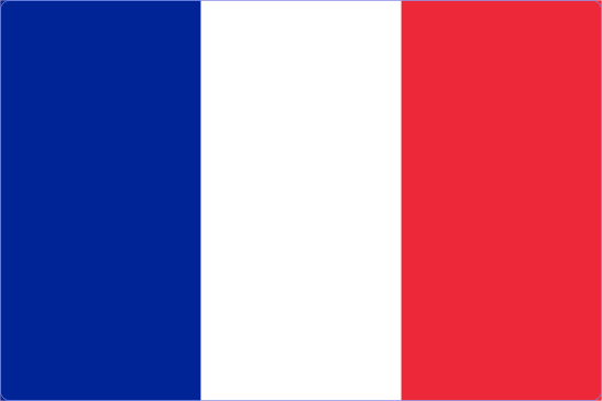 Bandera de Francia vista de frente con sus colores y proporciones exactos