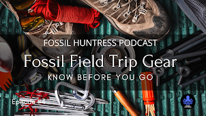 WHAT TO BRING FOSSIL COLLECTING / EPISODE #4