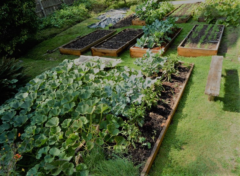 Types Of Garden Design