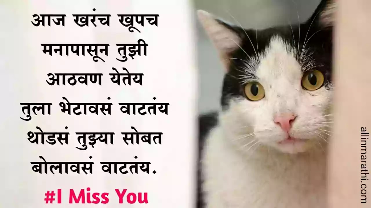 Miss-you-status-marathi Miss-you-status-marathi