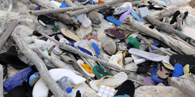 238 tons of plastic waste invaded the islands of paradise