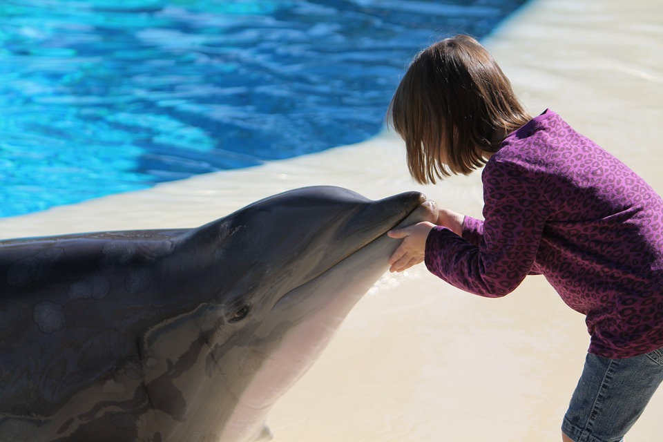 Top 16 KidFriendly Activities in Las Vegas