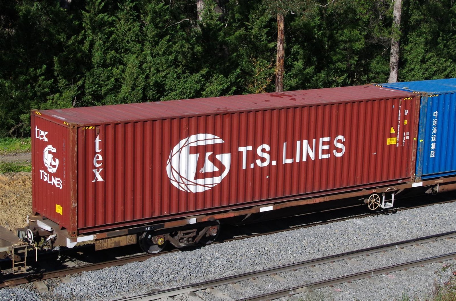Rollingstock News TS Lines Variety