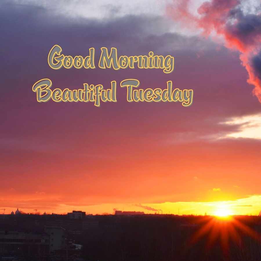 happy tuesday morning images