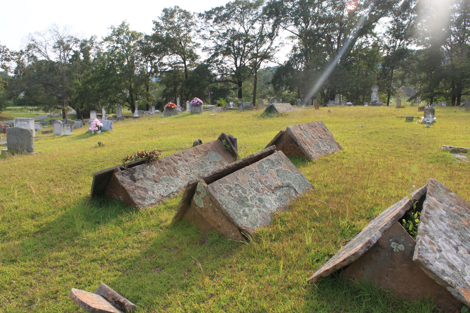 Graveyard Rabbit of Northwest Comb Grave Covers Cullman