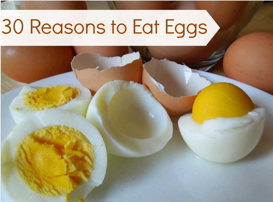 The Sole Meaning Of Life Is To Serve Humanity.: 30 Reasons To Eat Eggs