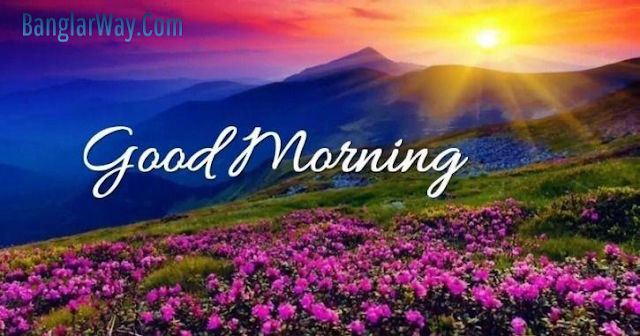 100+ Good Morning Messages, Good Morning Wishes