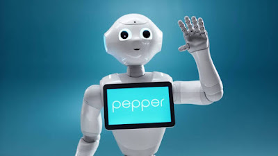 Pepper robot RapikanDotCom