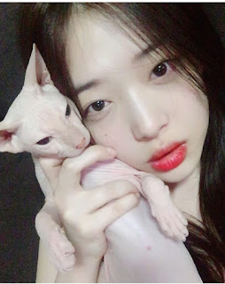 오늘자 설리 셀카insta | 인스티즈