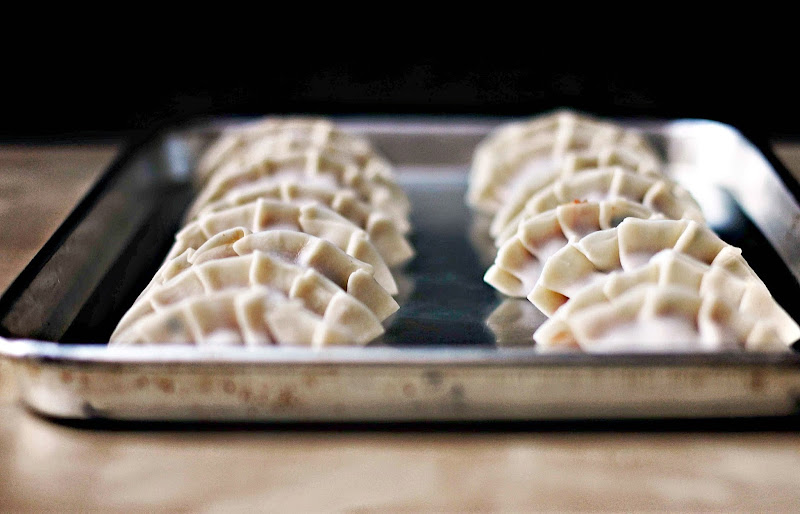 Milk and Honey Turkey and Gochujang Potstickers