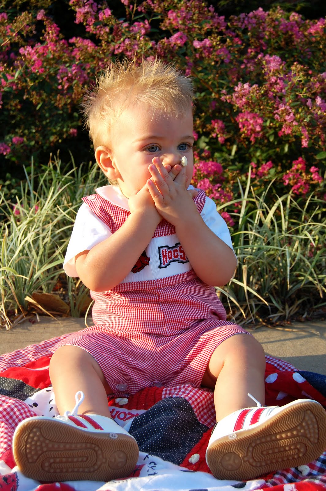 the freyed knot: Our Lil' Razorback