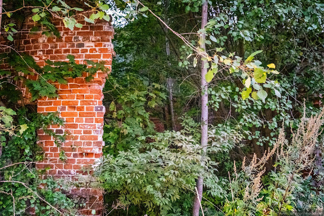 Сочинение про усадьбу рукавишниковых Поросшие травой и деревьями кирпичные развалины