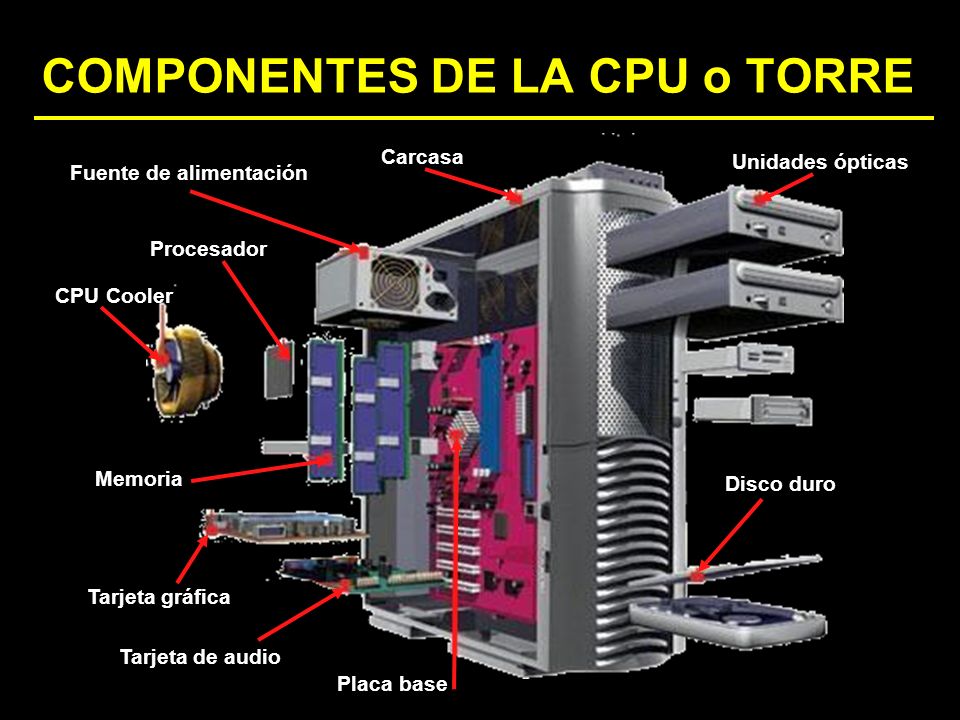 Arquitectura Del Computador Componentes BÁsicos Internos