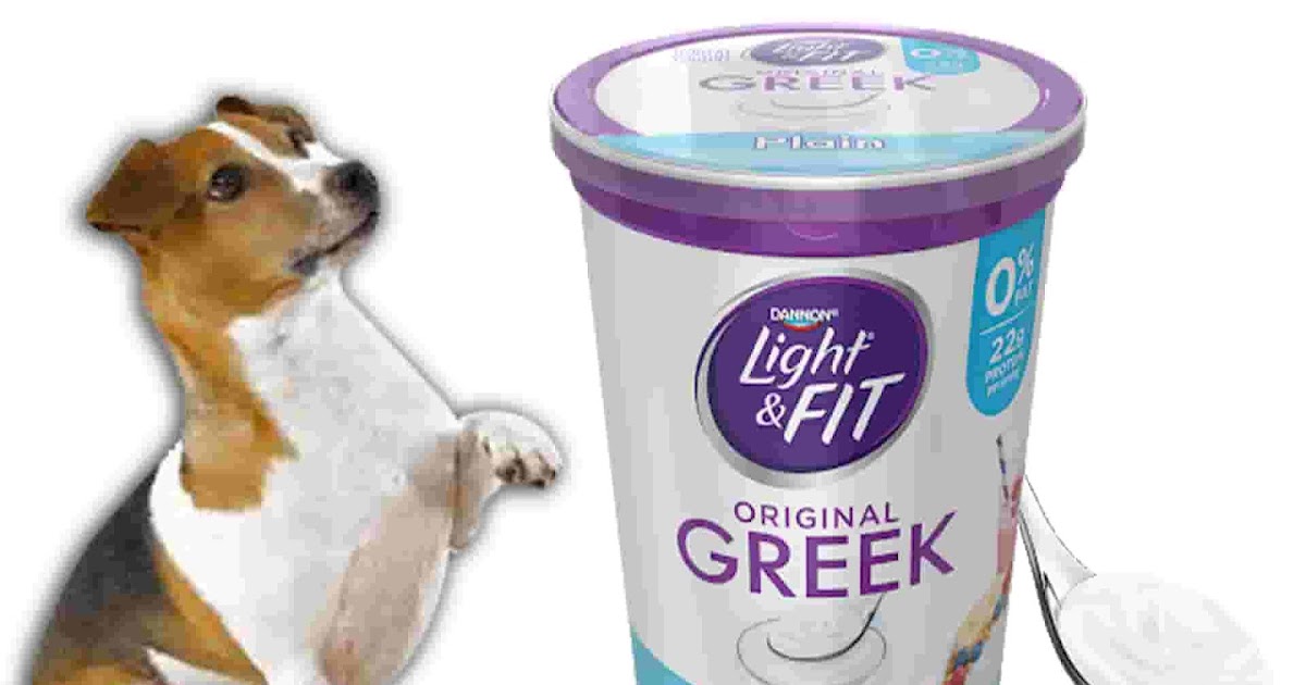 What Does Yogurt Do For Dogs