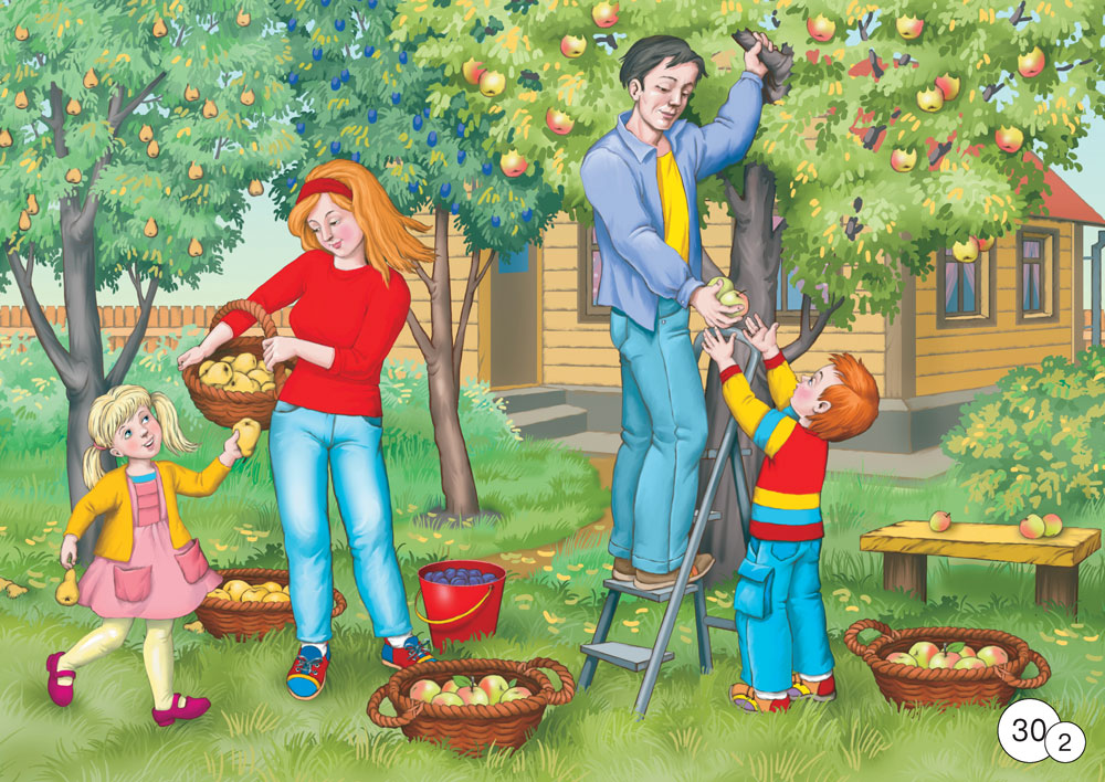 Игра составь семью. Сюжетные картины для детей. Сюжетная картина в саду осенью. Сбор урожая картинки для детей. Сюжетные картины для дошкольников.