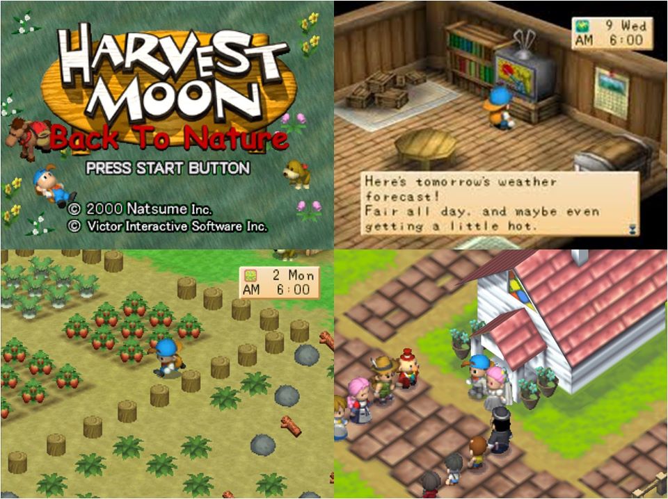 Afan Oppa Blog Tips Dan Trik Harvest Moon Back To