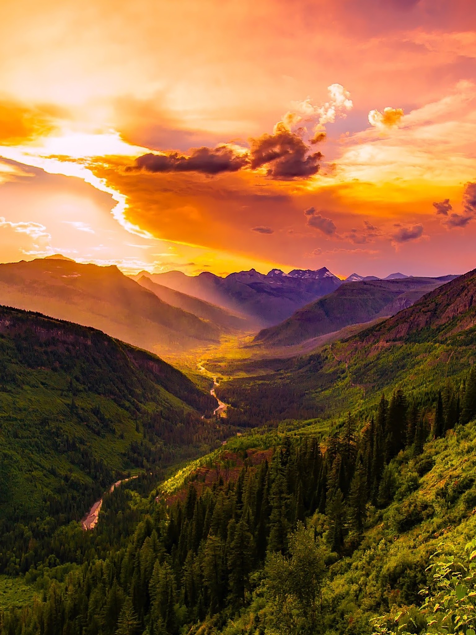 Mountains Forest Trees Horizon 4k Wallpaper 24 mountains forest trees horizon 4k