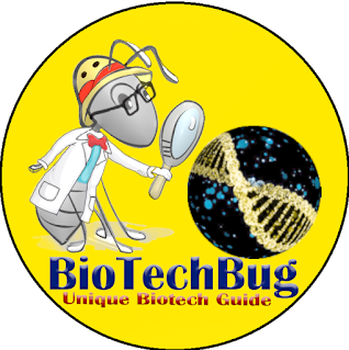 BioTechBug About Us