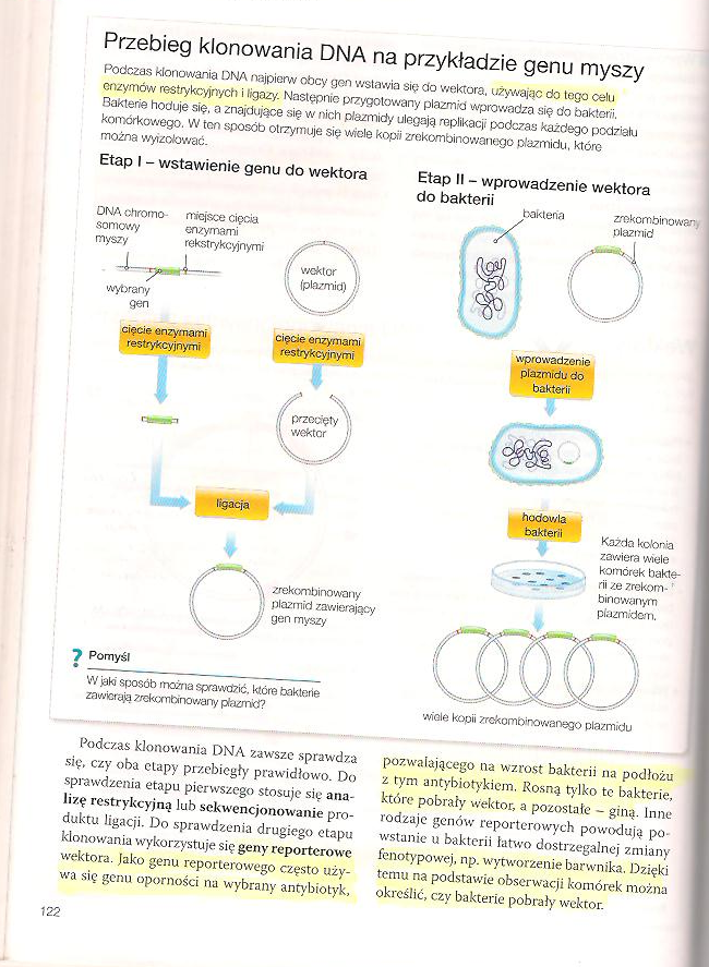 Biologia Biotechnologia I Inżynieria Genetyczna Odpowiedzi Biologia - nauka o życiu: Biotechnologia. Temat 3: Podstawowe techniki
