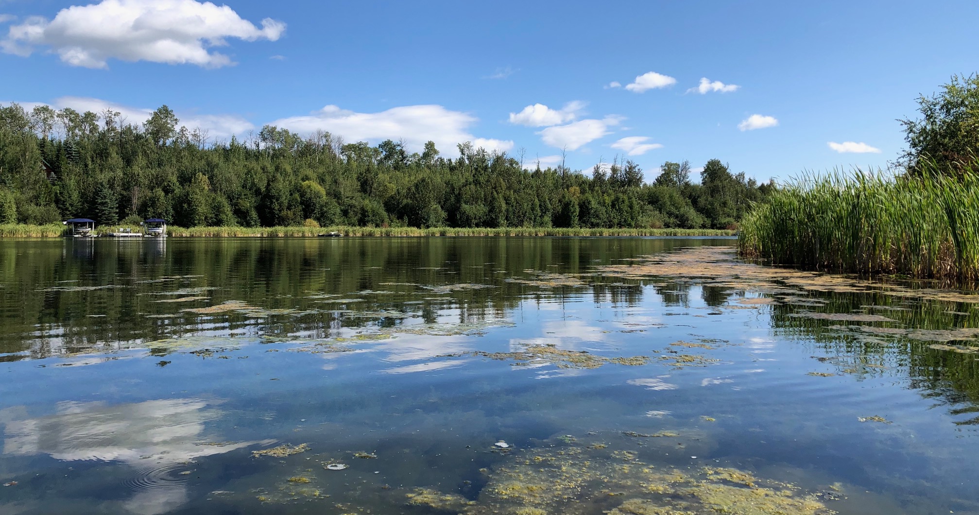 Canoeing Around Edmonton, Alberta, Canada Jackfish Lake