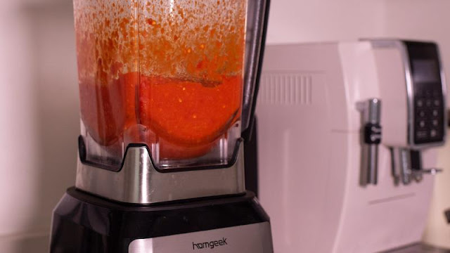 Homgeek 2000W Blender Review