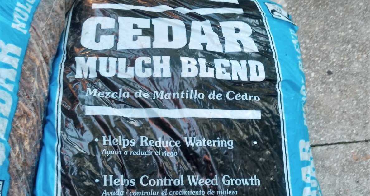 Yard and Garden Secrets Repel Fleas Ticks and Snakes with Cedar Mulch
