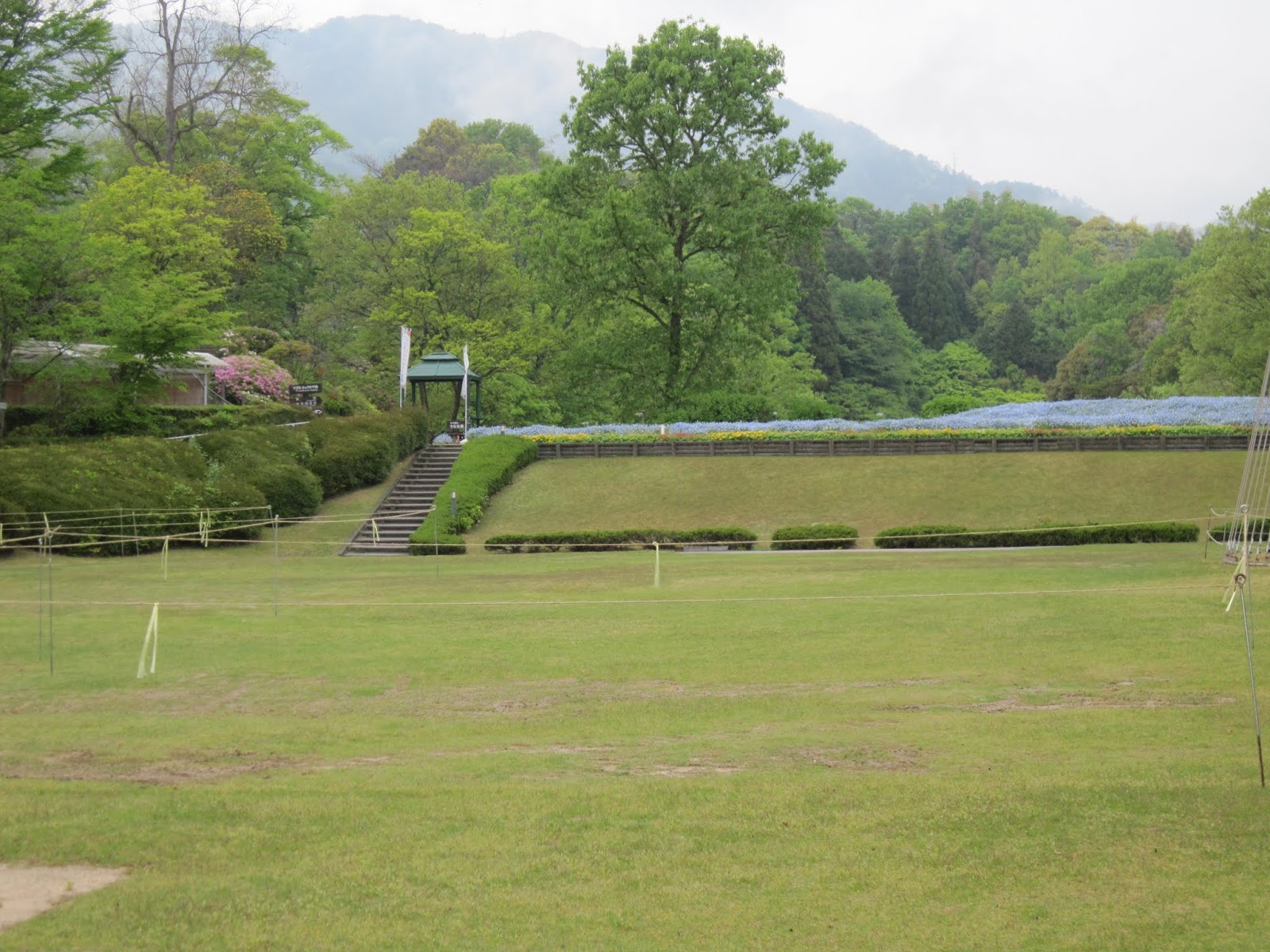 植物 公園 広島