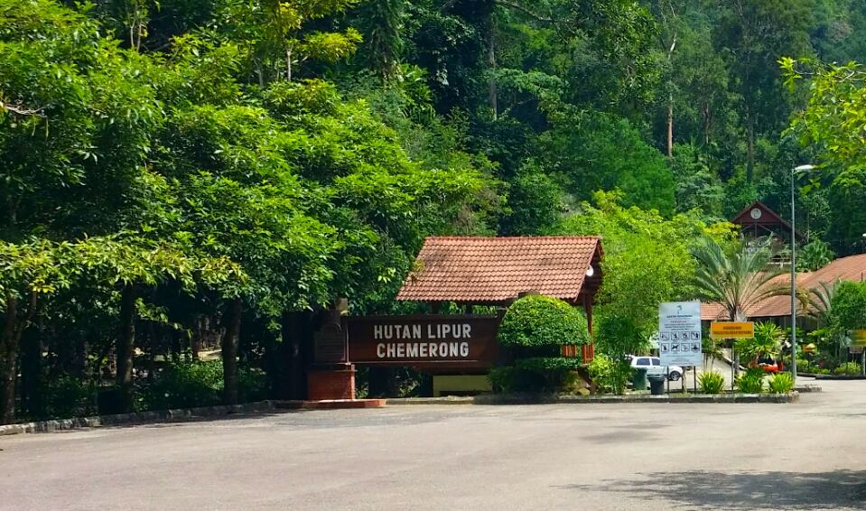 DuniaAku Berkelah di Hutan Lipur Chemerong Hulu Dungun DuniaAku Berkelah di Hutan Lipur Chemerong Hulu Dungun