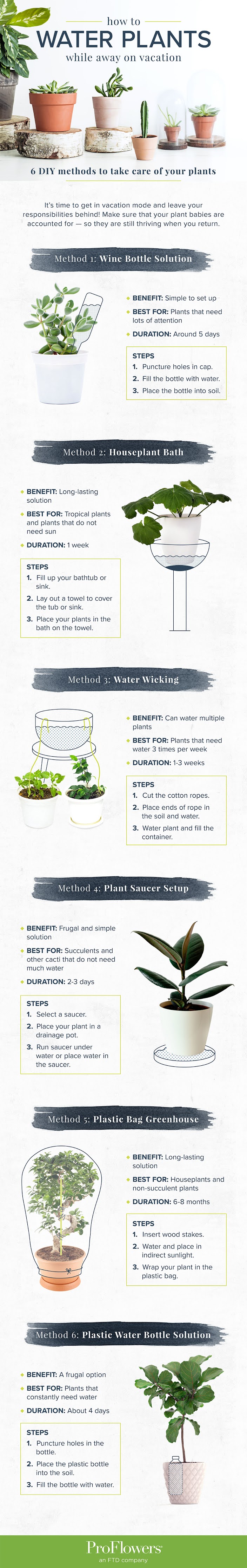 How to Water Plants While Away on Vacation 6 DIY Methods