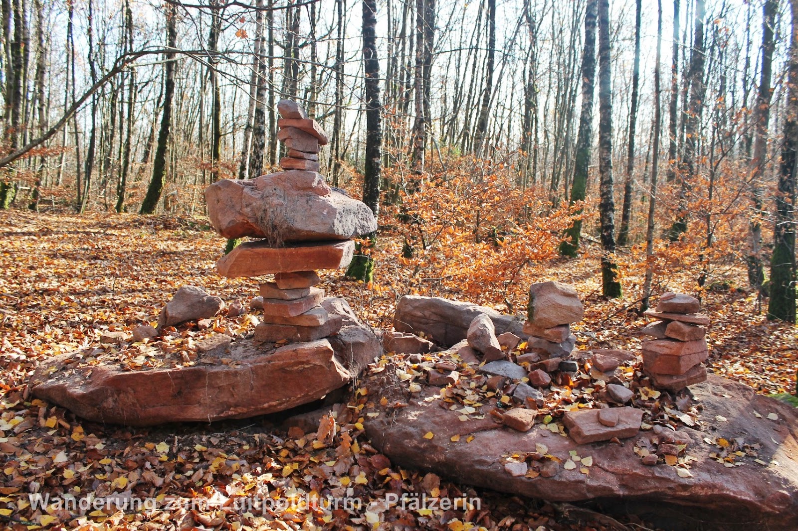 Freude Am Garten Wanderung Zum Luitpoldturm
