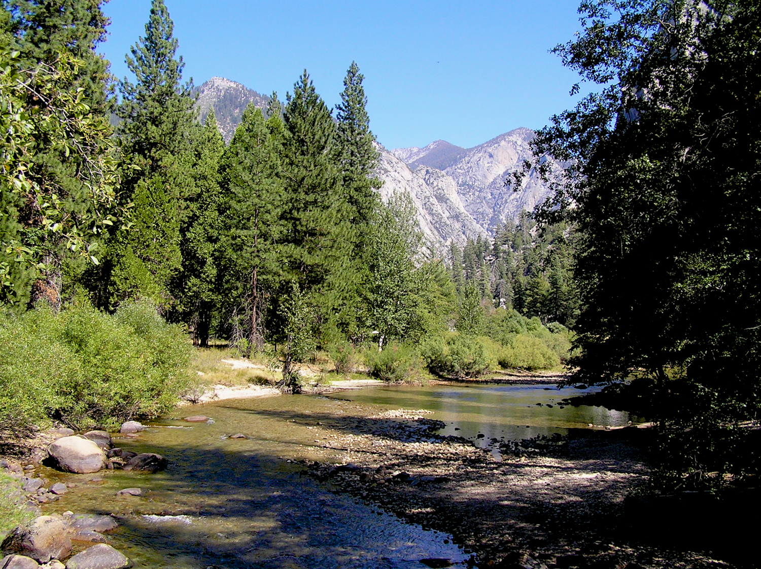 Sequoia National Park Kings Canyon National Park El Guisante Verde