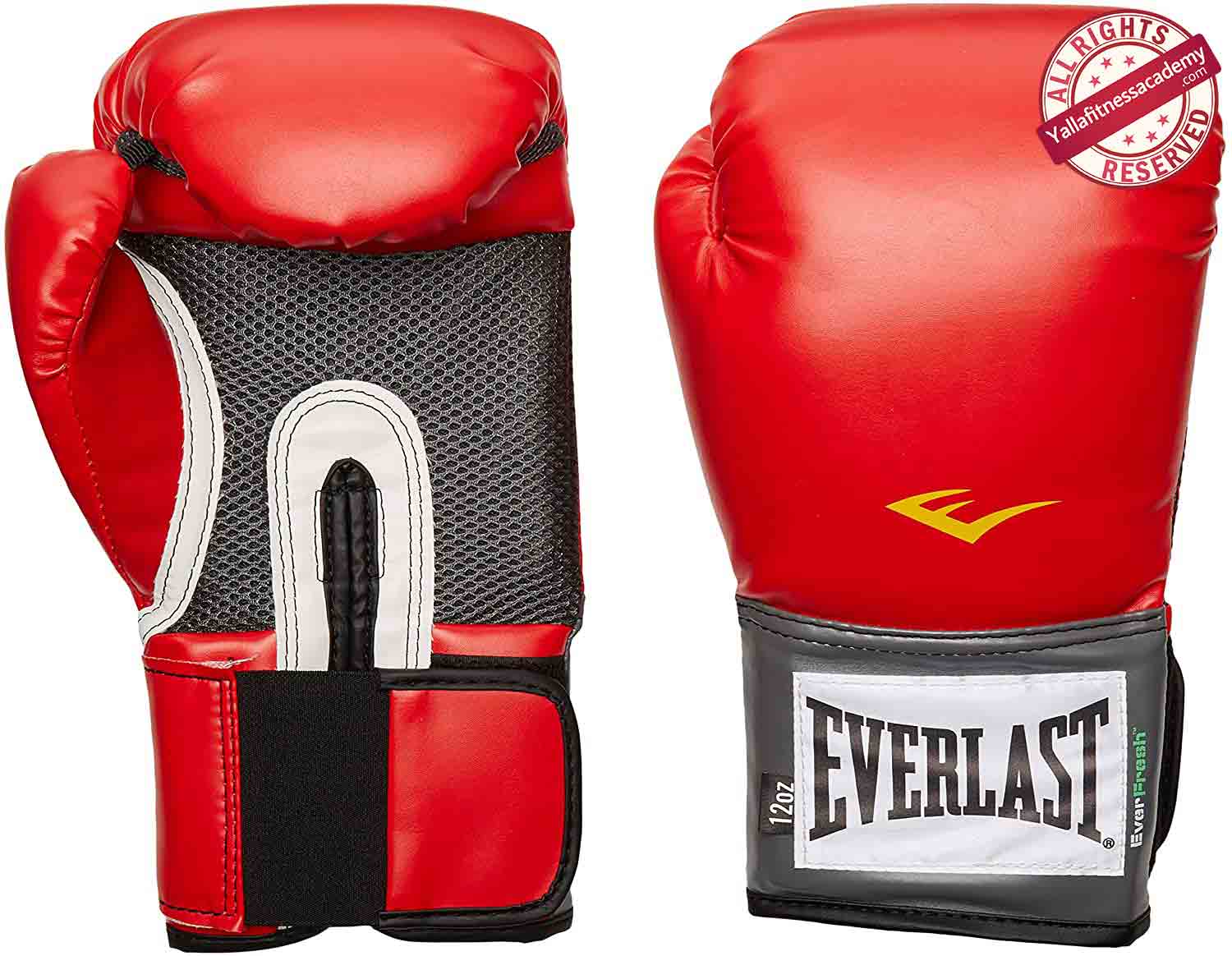 مراجعة لأفضل قفازات الملاكمة للمبتدئين