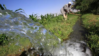خوف على المياه بمصر من الزراعة الخليجية بالسودان