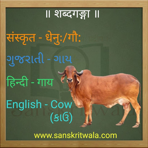 Sanskritwala Animal names in Sanskrit