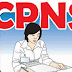 CPNS 2015 di Tiadakan
