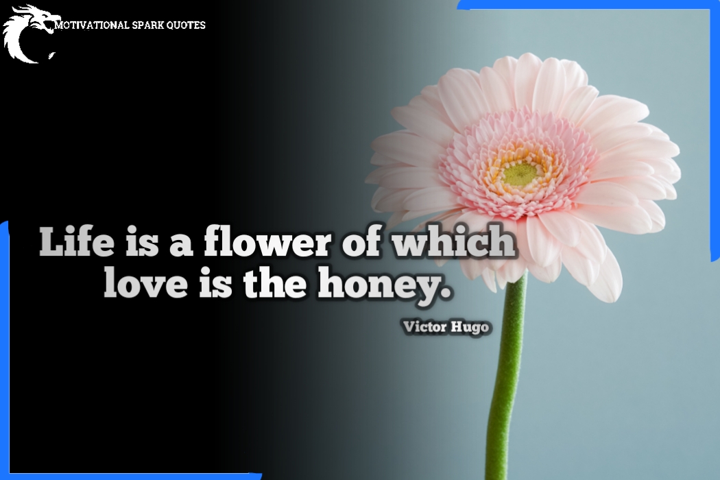 life quote-quotes about life- life quotes in Hindi-life quotes in English- life quotes image-quotes on life- quotes about life. life quote-quotes about life- life quotes in Hindi-life quotes in English- life quotes image-quotes on life- quotes about life.