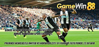 Prediksi Newcastle United vs Norwich City 01 Februari 2020 Pukul 22.00 WIB