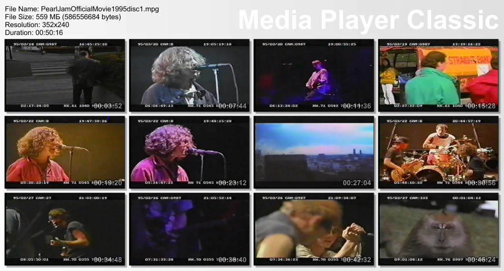 Pearl Jam Video: 1995 The Movie