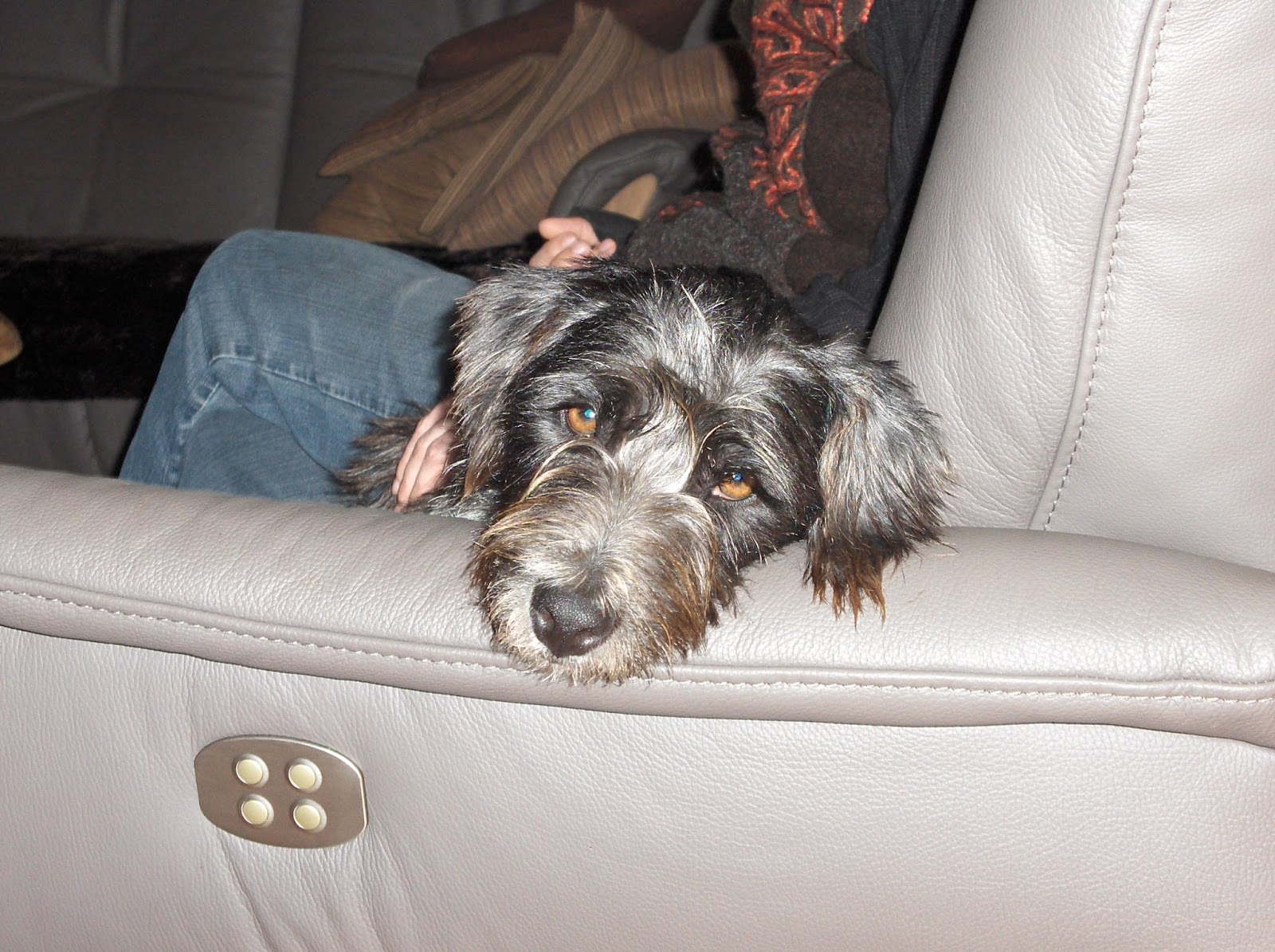 TiS Tagebuch August 2016