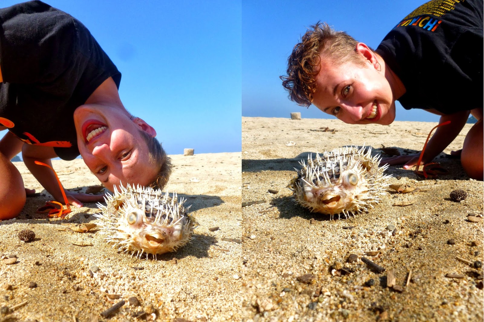 Noellephant: Sayulita, Mexico Part 3