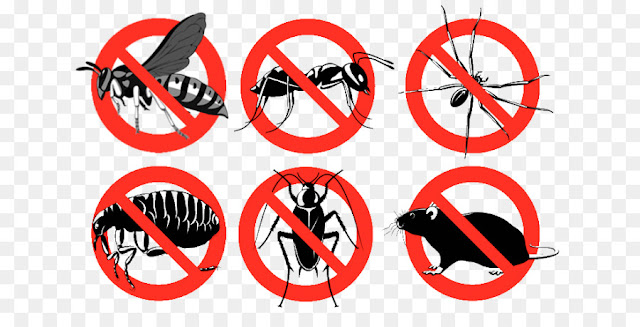 What are Insecticides? - Definition,Types,History Systemic And Contact Insecticide In Hindi
