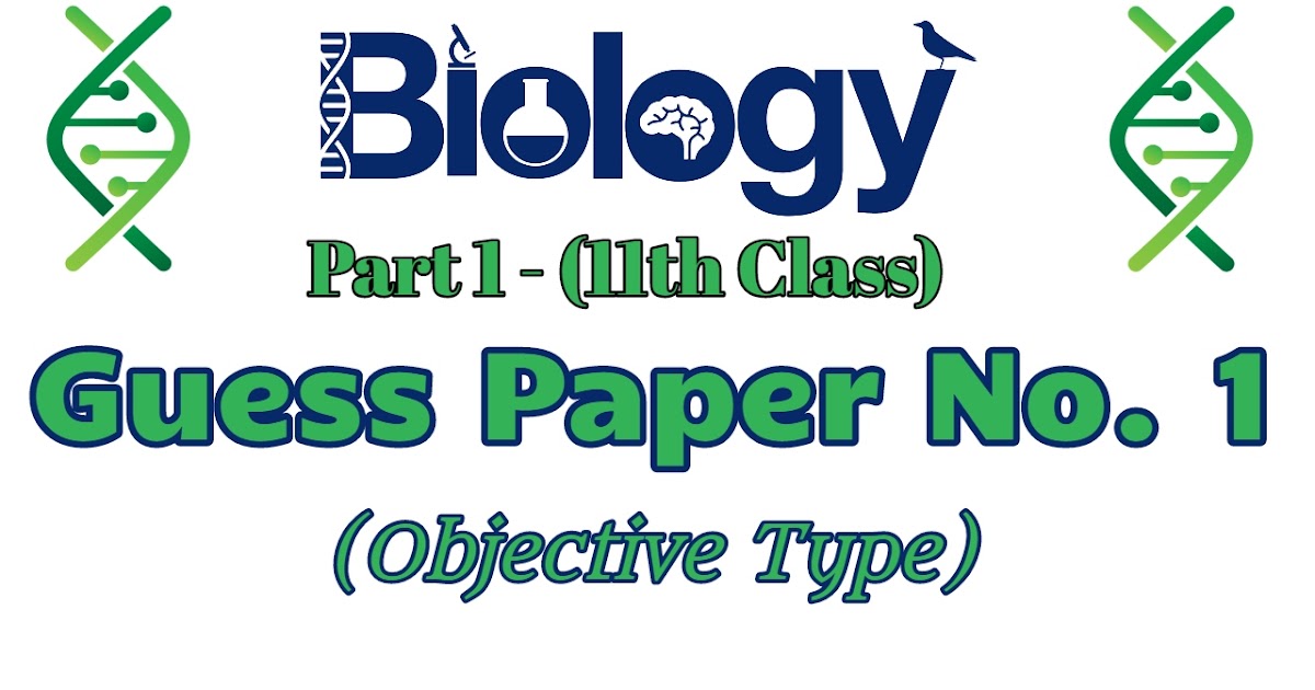 1st year guess paper 2021 punjab board image