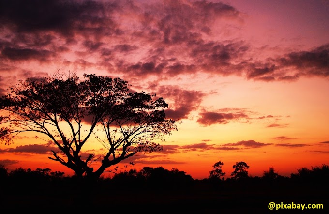 Bmkg 2018 Merupakan Tahun Yang Lebih Panas Dan Lebih Kering Di Indonesia