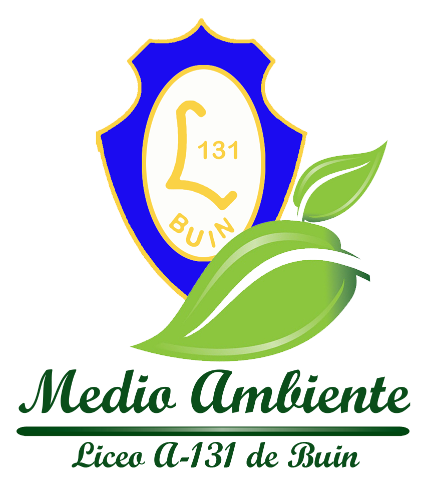 Insignia Medio Ambiente