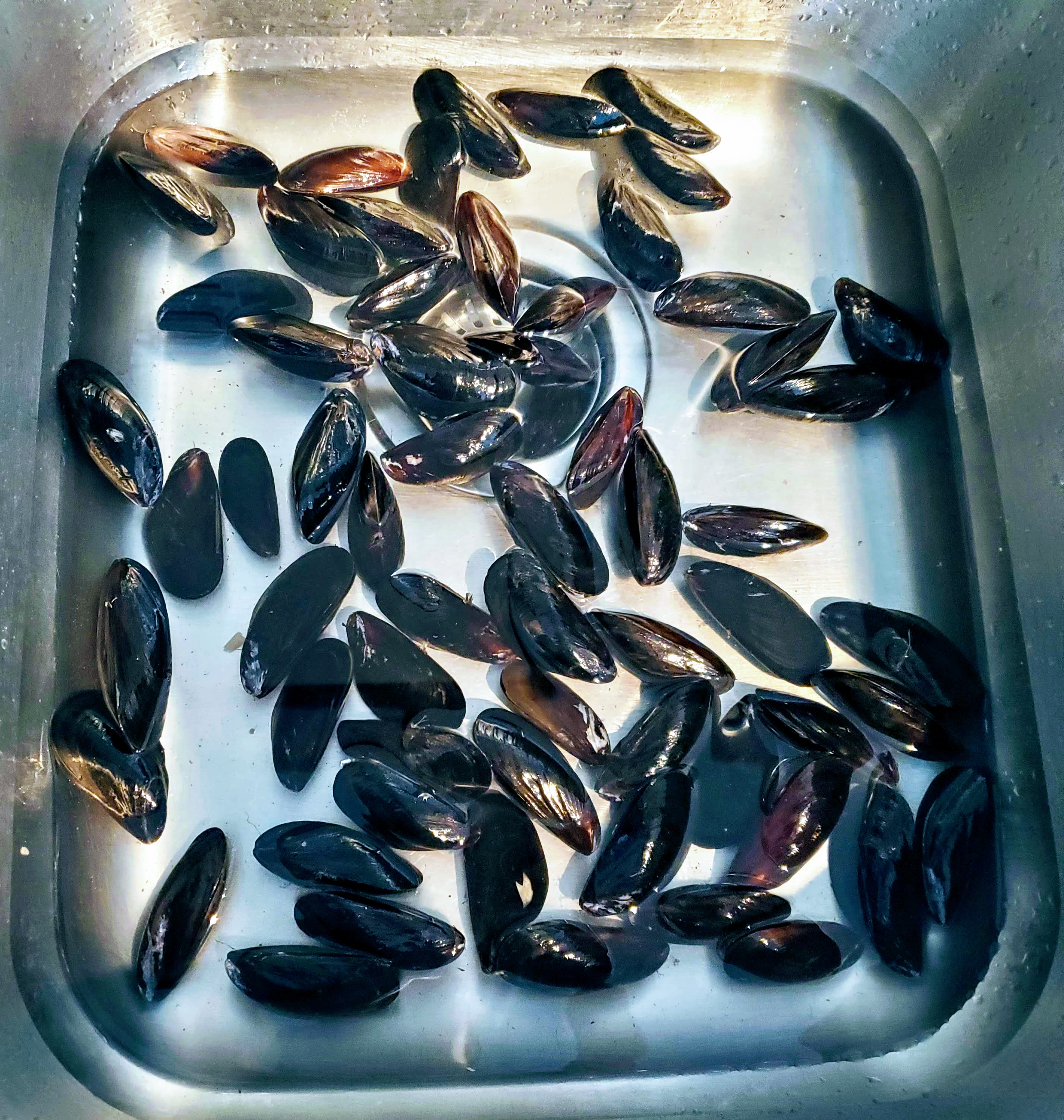 English style steamed Mussels Guinness beer and sliced onions